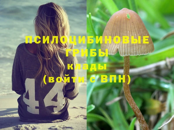 эйфоретик Кодинск